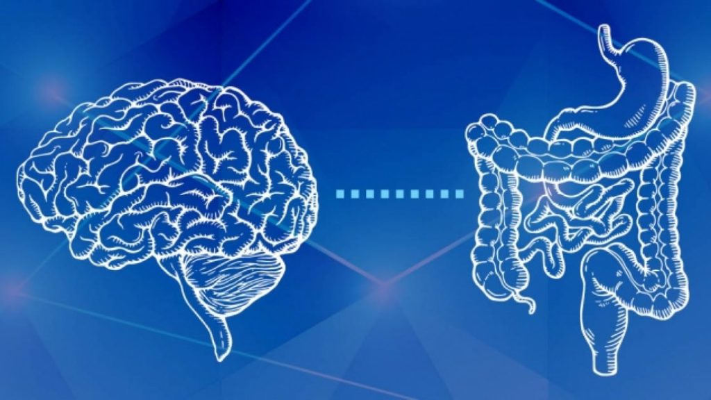 asse intestino cervello autismo