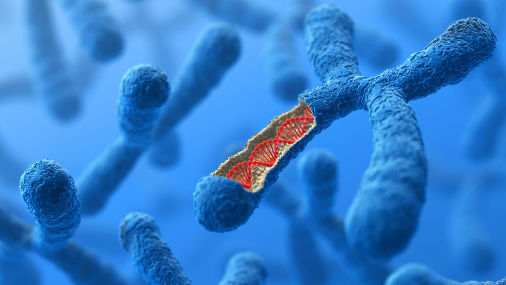 dieta del DNA opinioni