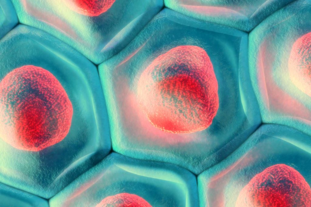 disfunzioni mitocondriali nello spettro autistico