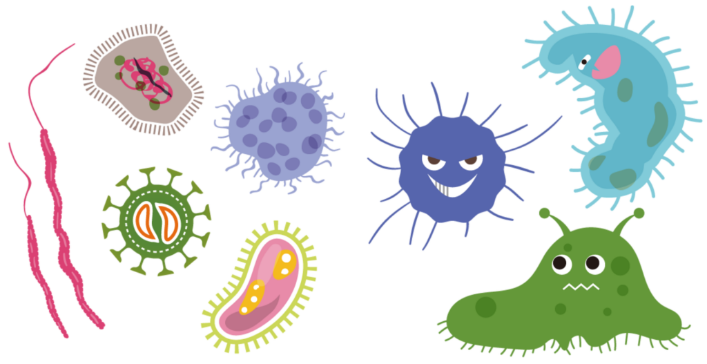 fermentazione intestinale cause sintomi e cura