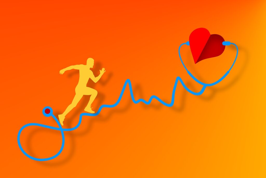 Il legame tra l intestino e le malattie cardiovascolari