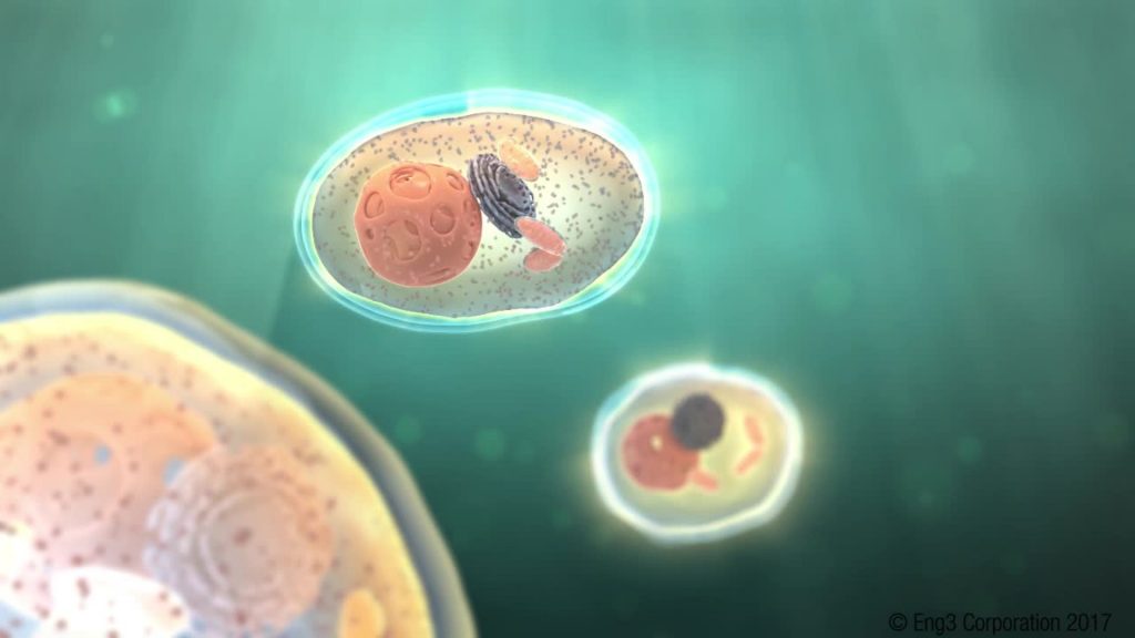 radicali liberi che cosa sono