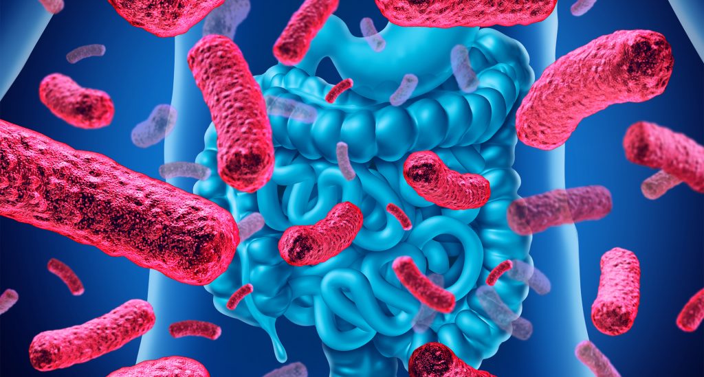 tiroide e microbiota